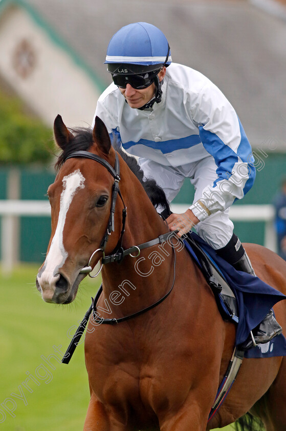 Anonymous-Guest-0001 
 ANONYMOUS GUEST (Luke Morris)
Yarmouth 19 Sep 2023 - Pic Steven Cargill / Racingfotos.com