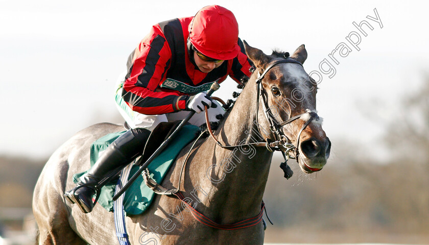 Graystone-0007 
 GRAYSTONE (Bryony Frost) wins The Agetur UK Ltd Juvenile Maiden Hurdle
Warwick 9 Dec 2021 - Pic Steven Cargill / Racingfotos.com