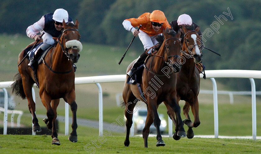 Sari-Mareis-0001 
 SARI MAREIS (centre, Charles Bishop) with NABVUTIKA (left, Tom Queally)
Chepstow 2 Jul 2019 - Pic Steven Cargill / Racingfotos.com