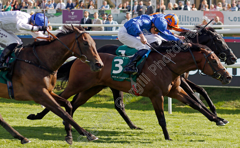 Hallasan-0001 
 HALLASAN (William Buick) wins The Weatherbys Scientific £300,000 2-y-o Stakes
Doncaster 12 Sep 2024 - Pic Steven Cargill / Racingfotos.com