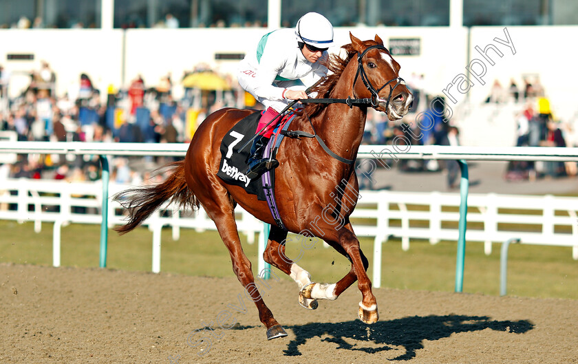 Wissahickon-0002 
 WISSAHICKON (Frankie Dettori) before winning The Betway Winter Derby Stakes
Lingfield 23 Feb 2019 - Pic Steven Cargill / Racingfotos.com