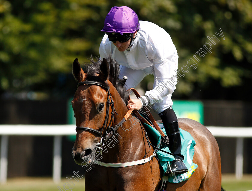 Alicia-Darcy-0001 
 ALICIA DARCY (P J McDonald) 
Newmarket 13 Jul 2018 - Pic Steven Cargill / Racingfotos.com