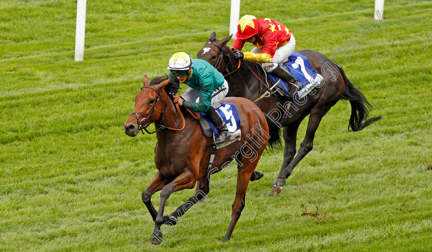 Hereby-0003 
 HEREBY (Harry Bentley) wins The Londonmetric Noel Murless Stakes
Ascot 4 Oct 2019 - Pic Steven Cargill / Racingfotos.com