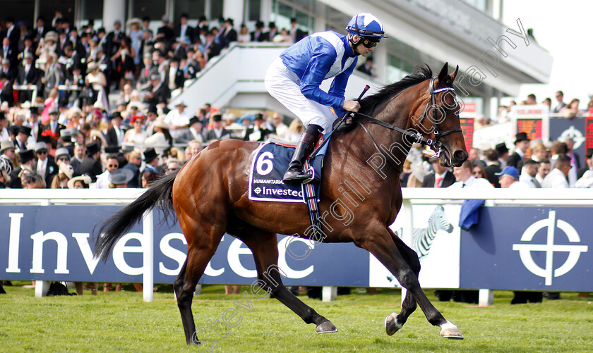 Humanitarian-0002 
 HUMANITARIAN (Robert Havlin)
Epsom 1 Jun 2019 - Pic Steven Cargill / Racingfotos.com