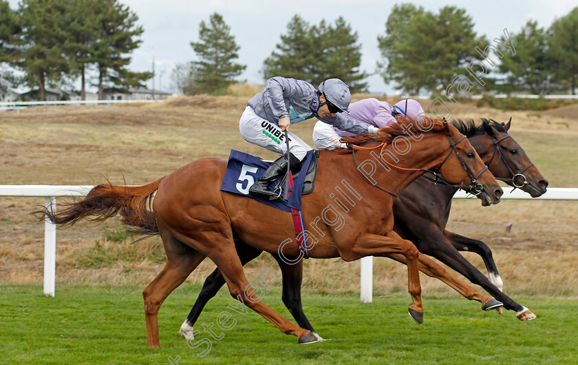 The-Gadget-Man-0007 
 THE GADGET MAN (farside, Rossa Ryan) beats TRAILA (nearside) in The Moulton Nurseries Handicap
Yarmouth 15 Sep 2022 - Pic Steven Cargill / Racingfotos.com