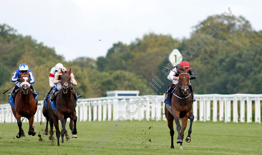 Bartzella-0002 
 BARTZELLA (Tom Marquand) wins The Troy Asset Management Novice Stakes
Ascot 1 Oct 2021 - Pic Steven Cargill / Racingfotos.com