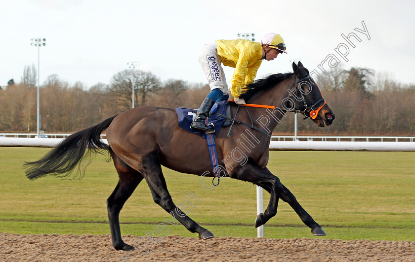 Temur-Khan-0001 
 TEMUR KHAN (David Probert)
Wolverhampton 3 Jan 2020 - Pic Steven Cargill / Racingfotos.com