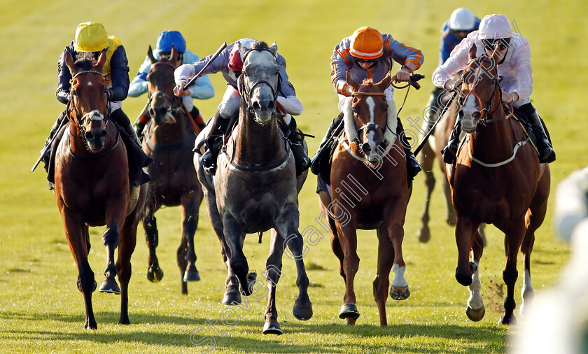 Nefarious-0002 
 NEFARIOUS (2nd left, Dane O'Neill) beats DULAS (left) BREANSKI (right) and FLAVIUS TITUS (2nd right) in The Close Brothers Premium Finance Handicap
Newmarket 19 Sep 2020 - Pic Steven Cargill / Racingfotos.com