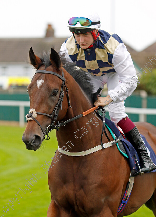 Risk-On-0001 
 RISK ON (Cieren Fallon)
Yarmouth 21 Sep 2023 - Pic Steven Cargill / Racingfotos.com