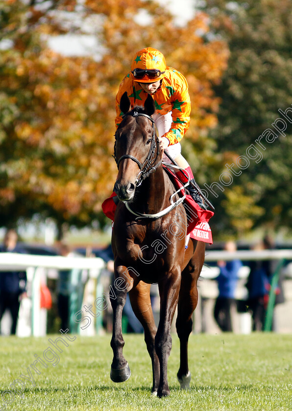 Killybegs-Warrior-0001 
 KILLYBEGS WARRIOR (Andrea Atzeni)
Newmarket 8 Oct 2022 - Pic Steven Cargill / Racingfotos.com