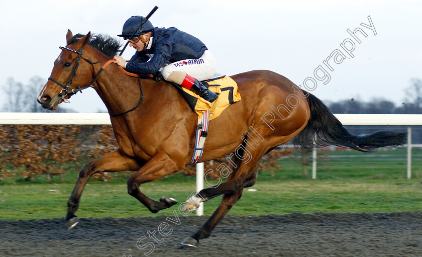 Velvet-Morn-0006 
 VELVET MORN (Andrea Atzeni) wins The 32Red Casino Novice Stakes
Kempton 23 Mar 2019 - Pic Steven Cargill / Racingfotos.com