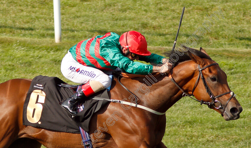 Mountain-Peak-0005 
 MOUNTAIN PEAK (Andrea Atzeni) wins The JFD Handicap
Newmarket 12 Jul 2019 - Pic Steven Cargill / Racingfotos.com