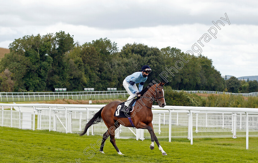 Flotilla-0005 
 FLOTILLA (David Egan)
Goodwood 29 Aug 2020 - Pic Steven Cargill / Racingfotos.com