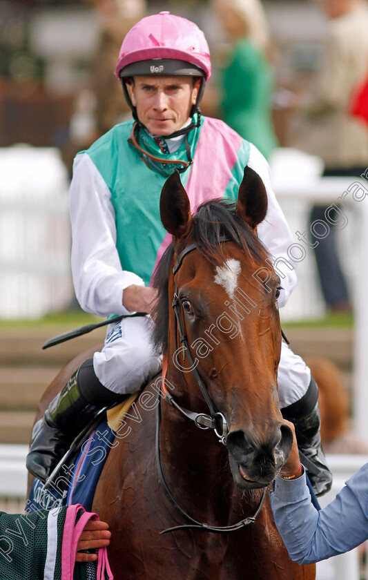 Nostrum-0011 
 NOSTRUM (Ryan Moore) winner of The Tattersalls Stakes
Newmarket 22 Sep 2022 - Pic Steven Cargill / Racingfotos.com