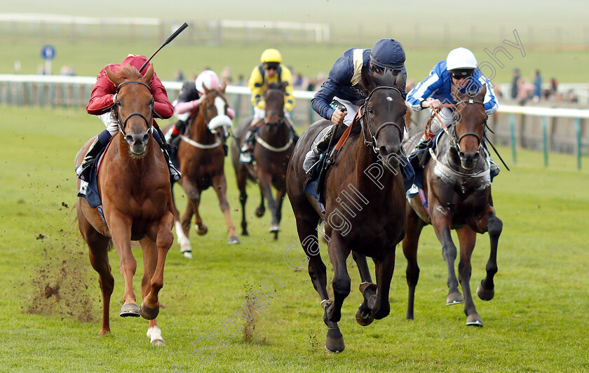 Skymax-0002 
 SKYMAX (Harry Bentley) beats FEARLESS WARRIOR (left) in The British Stallion Studs EBF Nursery
Newmarket 24 Oct 2018 - Pic Steven Cargill / Racingfotos.com