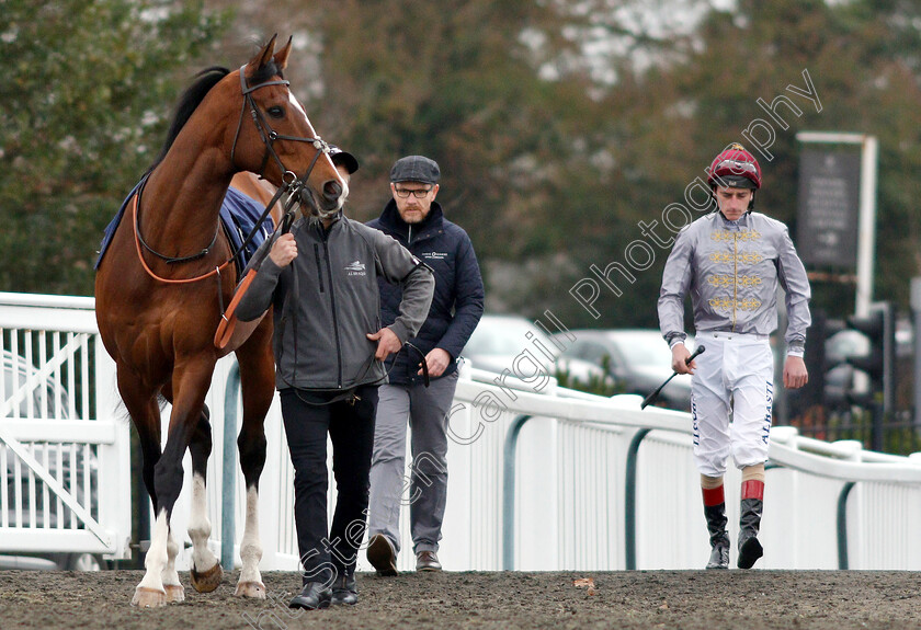 Toast-Of-New-York-0001 
 TOAST OF NEW YORK (Adam Kirby)
Lingfield 5 Dec 2018 - Pic Steven Cargill / Racingfotos.com