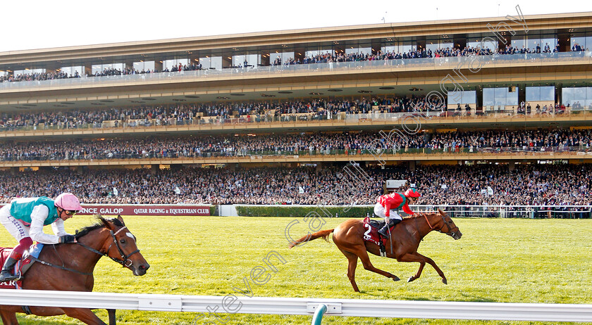 Waldgeist-0005 
 WALDGEIST (P C Boudot) beats ENABLE (left) in The Qatar Prix De L'Arc De Triomphe
Longchamp 6 Oct 2019 - Pic Steven Cargill / Racingfotos.com