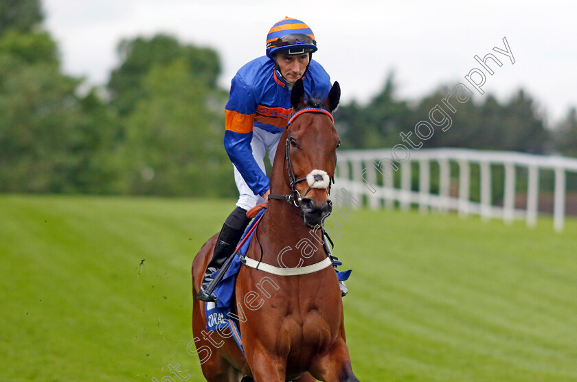 Enemy-0003 
 ENEMY (Daniel Tudhope)
Sandown 26 May 2022 - Pic Steven Cargill / Racingfotos.com