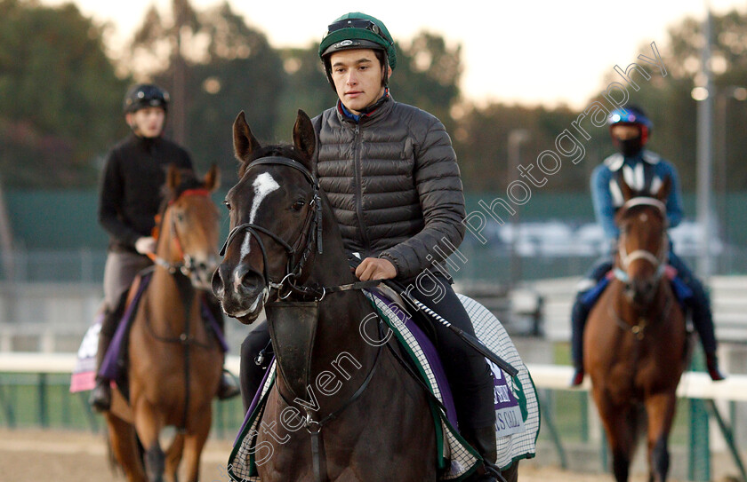 Soldier s-Call-0004 
 SOLDIER'S CALL exercising ahead of The Breeders' Cup Juvenile Turf Sprint
Churchill Downs USA 29 Oct 2018 - Pic Steven Cargill / Racingfotos.com