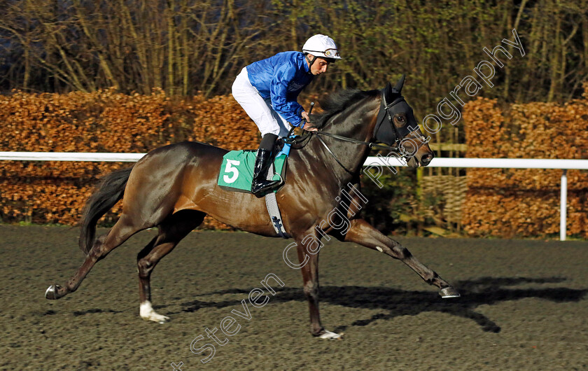 Native-Approach-0006 
 NATIVE APPROACH (William Buick) winner of The Unibet More Extra Place Races Maiden Stakes Div1
Kempton 14 Feb 2024 - Pic Steven Cargill / Racingfotos.com