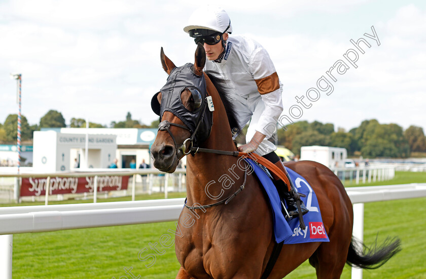 Dusky-Lord 
 DUSKY LORD (David Egan)
York 17 Aug 2022 - Pic Steven Cargill / Racingfotos.com