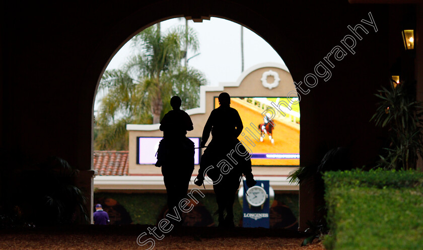 Del-Mar-0003 
 Horses training for The Breeders' Cup at Del Mar USA 31 Oct 2017 - Pic Steven Cargill / Racingfotos.com