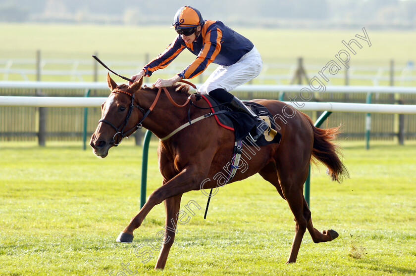 Garrel-Glen-0006 
 GARREL GLEN (Louis Steward) wins The Shepherd Compello & EPG Fillies Novice Median Auction Stakes Div2
Newmarket 24 Oct 2018 - Pic Steven Cargill / Racingfotos.com