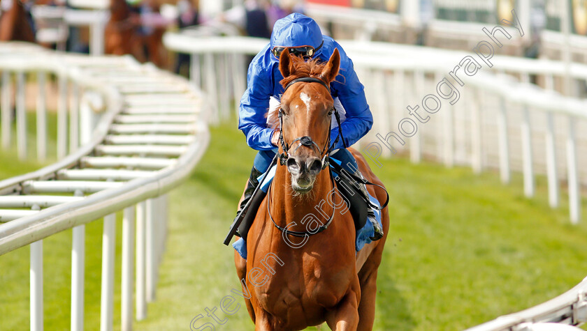 Albahr-0001 
 ALBAHR (William Buick)
York 13 May 2021 - Pic Steven Cargill / Racingfotos.com