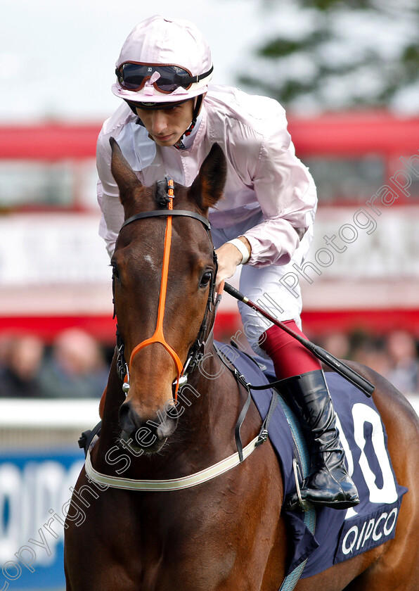 Jazeel-0001 
 JAZEEL (Antonio Fresu)
Newmarket 4 May 2019 - Pic Steven Cargill / Racingfotos.com