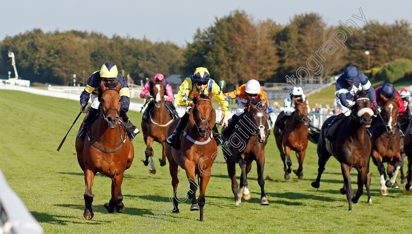 Sweet-Reward-0002 
 SWEET REWARD (left, Hector Crouch) beats LYNDON B (centre) in the Jackson-Stops Handicap
Goodwood 22 Sep 2021 - Pic Steven Cargill / Racingfotos.com