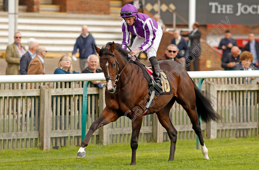 Ortelius-0001 
 ORTELIUS (Ryan Moore)
Newmarket 28 Sep 2023 - Pic Steven Cargill / Racingfotos.com