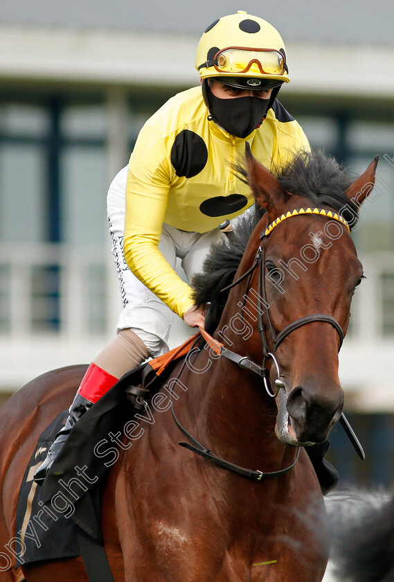 King-Francis-0001 
 KING FRANCIS (Andrea Atzeni)
Nottingham 28 Oct 2020 - Pic Steven Cargill / Racingfotos.com