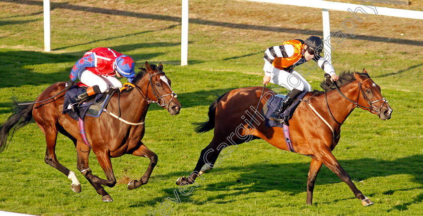 Jade-Country-0005 
 JADE COUNTRY (Charles Bishop) beats SILVER SCREEN (left) in The Sky Sports Racing Sky 415 Handicap
Yarmouth 15 Sep 2022 - pic Steven Cargill / Racingfotos.com