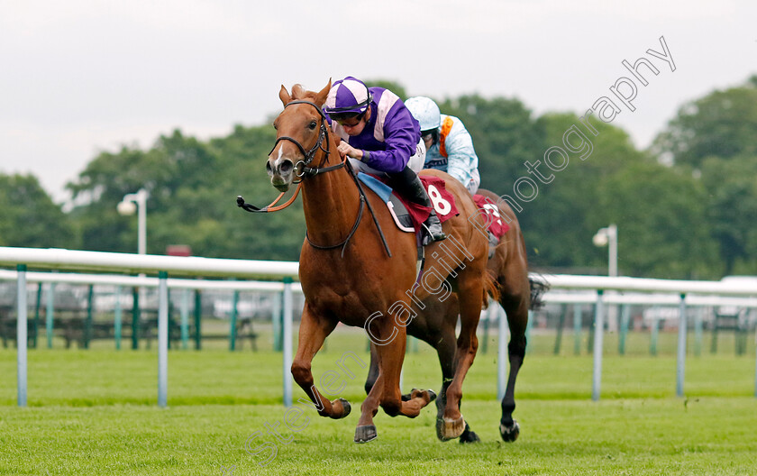 Stage-Effect-0003 
 STAGE EFFECT (Tom Marquand) wins The A&B Engineering Mechanical and Electrical Services EBF Maiden Fillies Stakes
Haydock 24 May 2024 - Pic Steven Cargill / Racingfotos.com