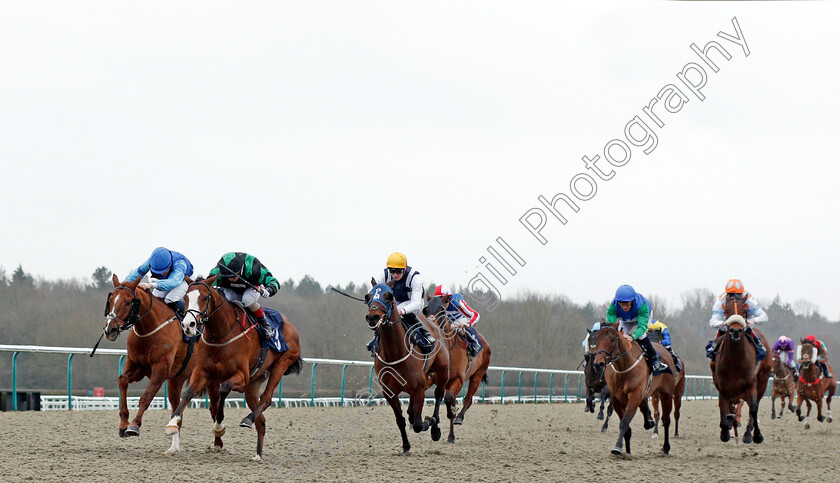 Alvaro-0001 
 ALVARO (2nd left, Franny Norton) wins The Heed Your Hunch At Betway Handicap
Lingfield 14 Feb 2020 - Pic Steven Cargill / Racingfotos.com