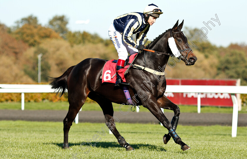 Yamuna-River-0001 
 YAMUNA RIVER (Richard Johnson)
Kempton 21 Oct 2018 - Pic Steven Cargill / Racingfotos.com