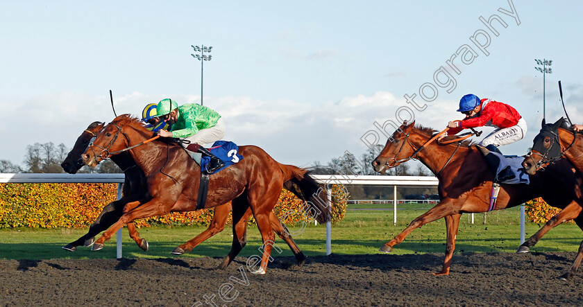 River-Dawn-0004 
 RIVER DAWN (nearside, Rob Hornby) beats MANTON GRANGE (farside) and LIGHTS ON (right) in The Unibet Extra Place Offers Every Day Handicap Div1
Kempton 2 Nov 2020 - Pic Steven Cargill / Racingfotos.com