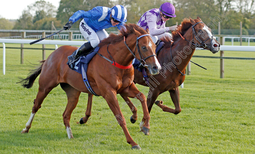 Raasel-0004 
 RAASEL (left, Jim Crowley) beats AMARILLO STAR (right) in The Starsports.bet Novice Stakes
Bath 16 Oct 2019 - Pic Steven Cargill / Racingfotos.com