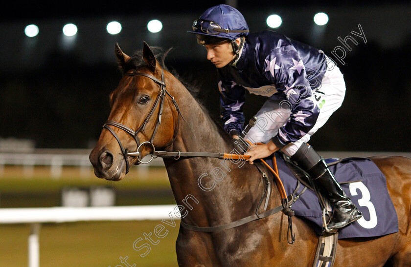 Island-Storm-0001 
 ISLAND STORM (Luke Morris)
Wolverhampton 19 Dec 2019 - Pic Steven Cargill / Racingfotos.com