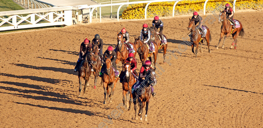 O Brien-String-0002 
 Mount Everest leads the Aidan O'Brien string training for The Breeders' Cup 
Santa Anita USA 31 Oct 2019 - Pic Steven Cargill / Racingfotos.com