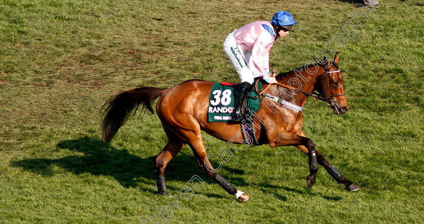 Final-Nudge-0001 
 FINAL NUDGE (Gavin Sheehan) Aintree 14 Apr 2018 - Pic Steven Cargill / Racingfotos.com