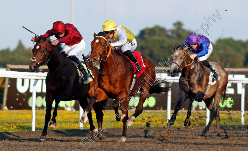 Noisy-Night-0003 
 NOISY NIGHT (centre, Richard Kingscote) beats BLUEBERRY HILL (left) in The Unibet British Stallion Studs EBF Novice Stakes
Kempton 4 Aug 2021 - Pic Steven Cargill / Racingfotos.com