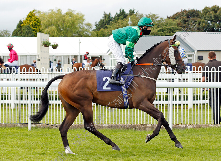 Show-Me-The-Bubbly-0001 
 SHOW ME THE BUBBLY (Gavin Ashton)
Bath 18 Jul 2020 - Pic Steven Cargill / Racingfotos.com