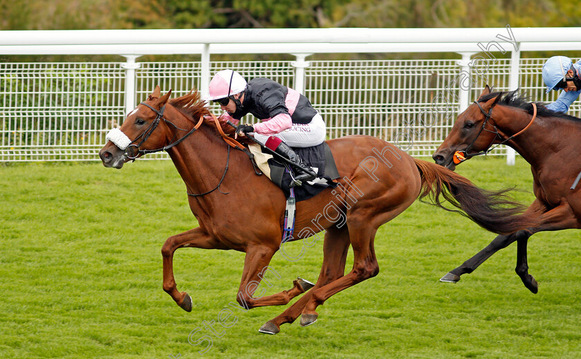 Classic-Lord-0006 
 CLASSIC LORD (Oisin Murphy) wins The Ladbrokes Watch Racing Online For Free Maiden Auction Stakes
Goodwood 30 Aug 2020 - Pic Steven Cargill / Racingfotos.com