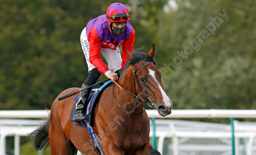 Hasty-Sailor-0002 
 HASTY SAILOR (Pat Dobbs)
Lingfield 5 Aug 2020 - Pic Steven Cargill / Racingfotos.com