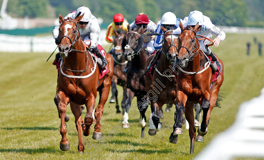 Communique-0005 
 COMMUNIQUE (left, Silvestre De Sousa) beats POET'S PRINCE (right) in The Al Zubarah London Gold Cup Newbury 19 May 2018 - Pic Steven Cargill / Racingfotos.com