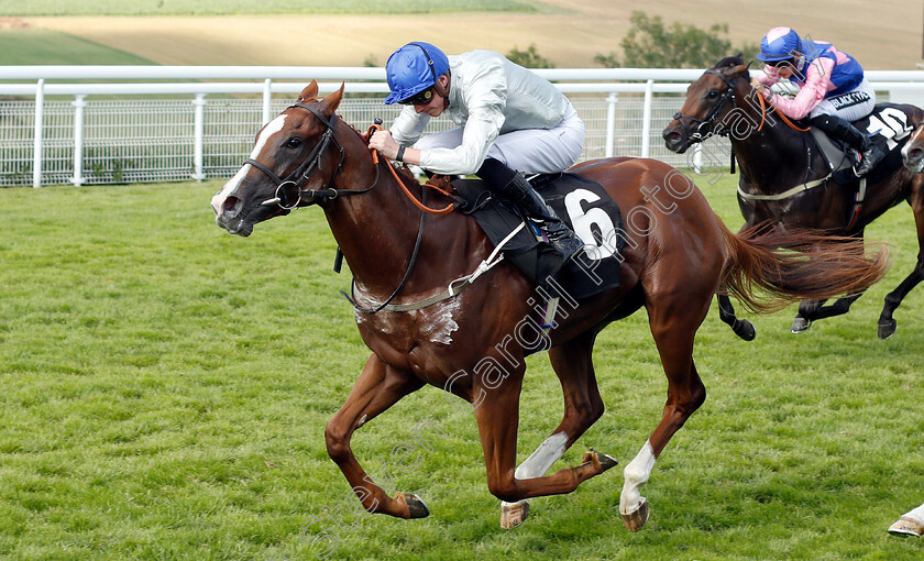 Homespin-0001 
 HOMESPIN (James Doyle) wins The Unibet Nursery
Goodwood 2 Aug 2019 - Pic Steven Cargill / Racingfotos.com