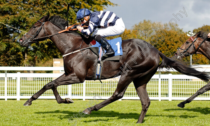 Champagne-Piaff-0006 
 CHAMPAGNE PIAFF (Hector Crouch) wins The Byerley Stud British EBF Novice Stakes Div2
Salisbury 1 Oct 2020 - Pic Steven Cargill / Racingfotos.com