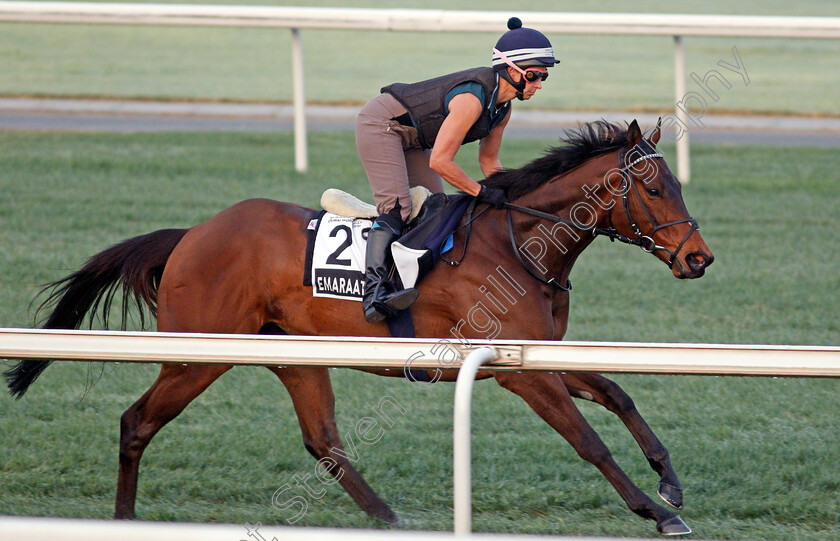 Emaraaty-Ana-0001 
 EMARAATY ANA training for the Al Quoz Sprint
Meydan, Dubai, 22 Mar 2022 - Pic Steven Cargill / Racingfotos.com