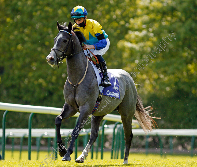 Dragon-Symbol-0001 
 DRAGON SYMBOL (Adam McNamara)
Haydock 22 May 2021 - Pic Steven Cargill / Racingfotos.com